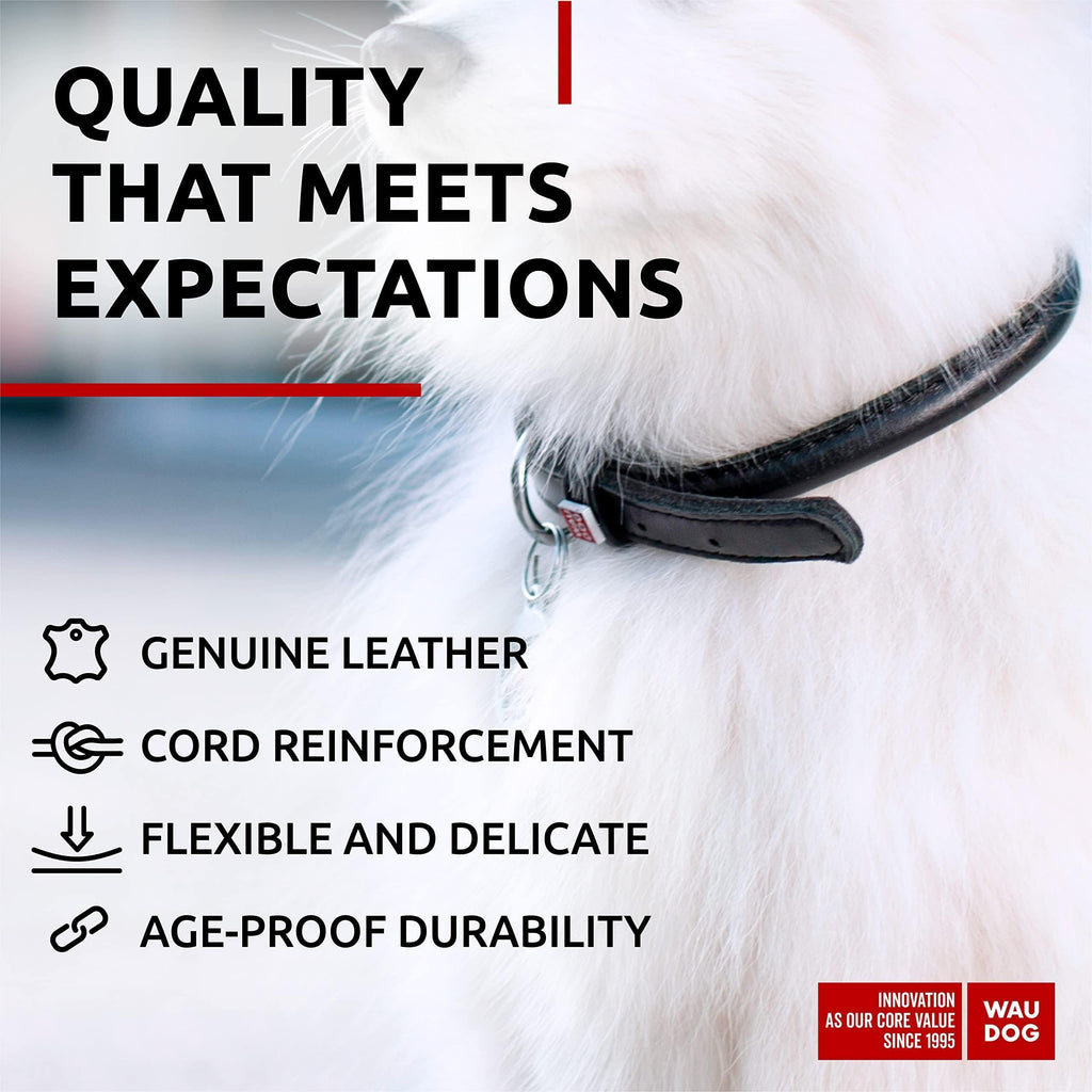 Ultra Soft Rolled Leather Dog Collar 8-10 Inch for Small Dogs Soft Padded Dog Collars for Medium Dogs Puppy Collars for Large Breed Dogs Male and Female Dog Collar