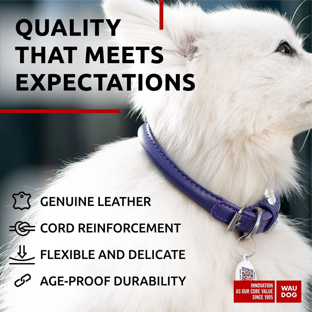 Ultra Soft Rolled Leather Dog Collar 8-10 Inch Neck for Small Dogs Soft Padded Dog Collars for Medium Dogs Puppy Collars for Large Breed Dogs Male and Female Dog Collar
