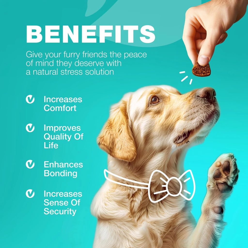 No Poo Chews for Dogs Coprophagia Deterrent for Dogs Forbid for Dogs Stool Eating Deterrent Dog Probiotics for Digestive Health Digestive Gut & Immune Health Treats No Poop Eating for Dogs