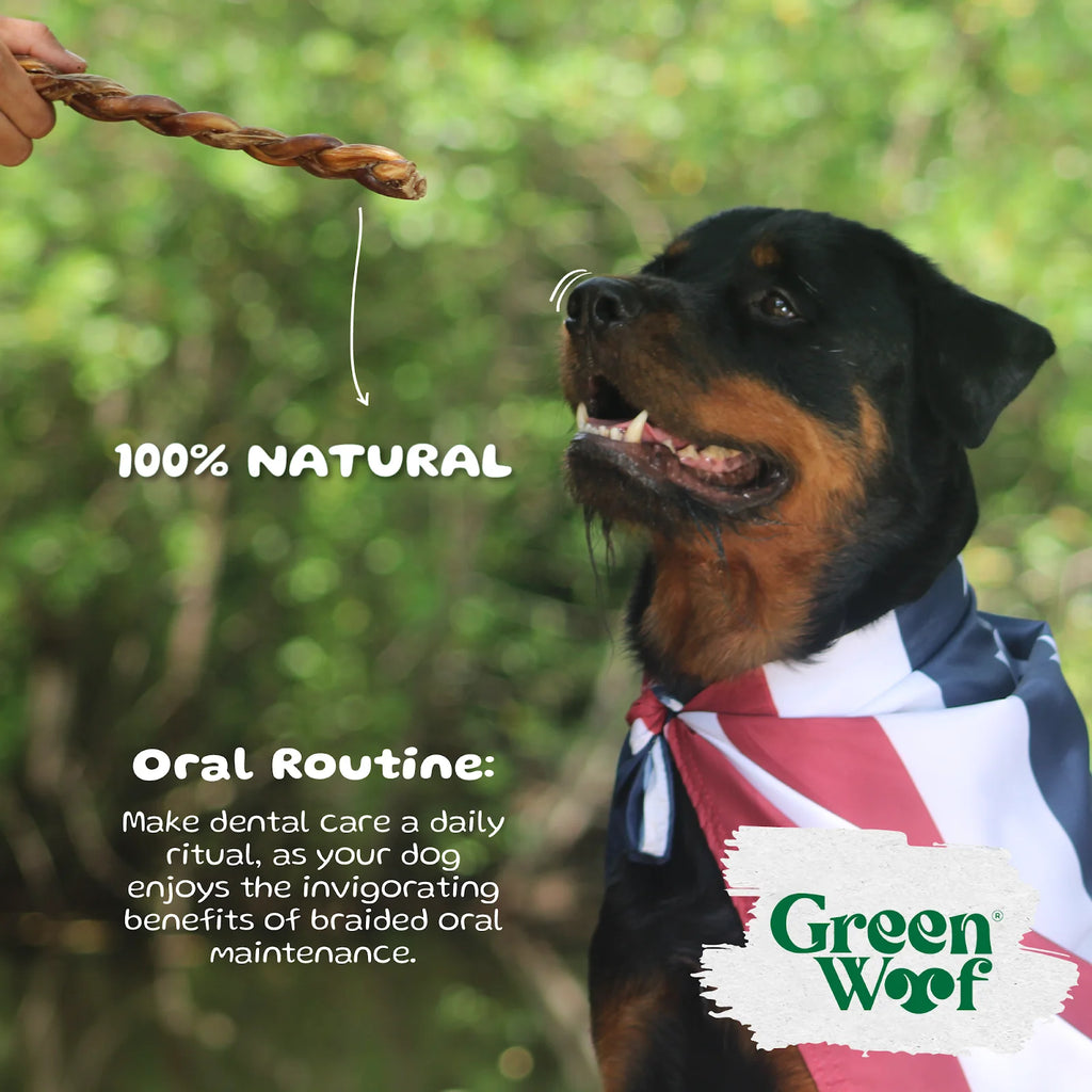 Braided Beef Bully Sticks Natural Dog Chew
