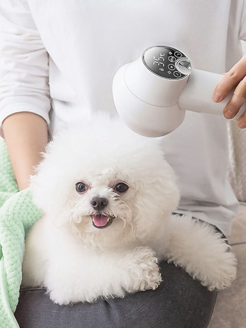 Low Noise Pet Hair Dryer & Comb