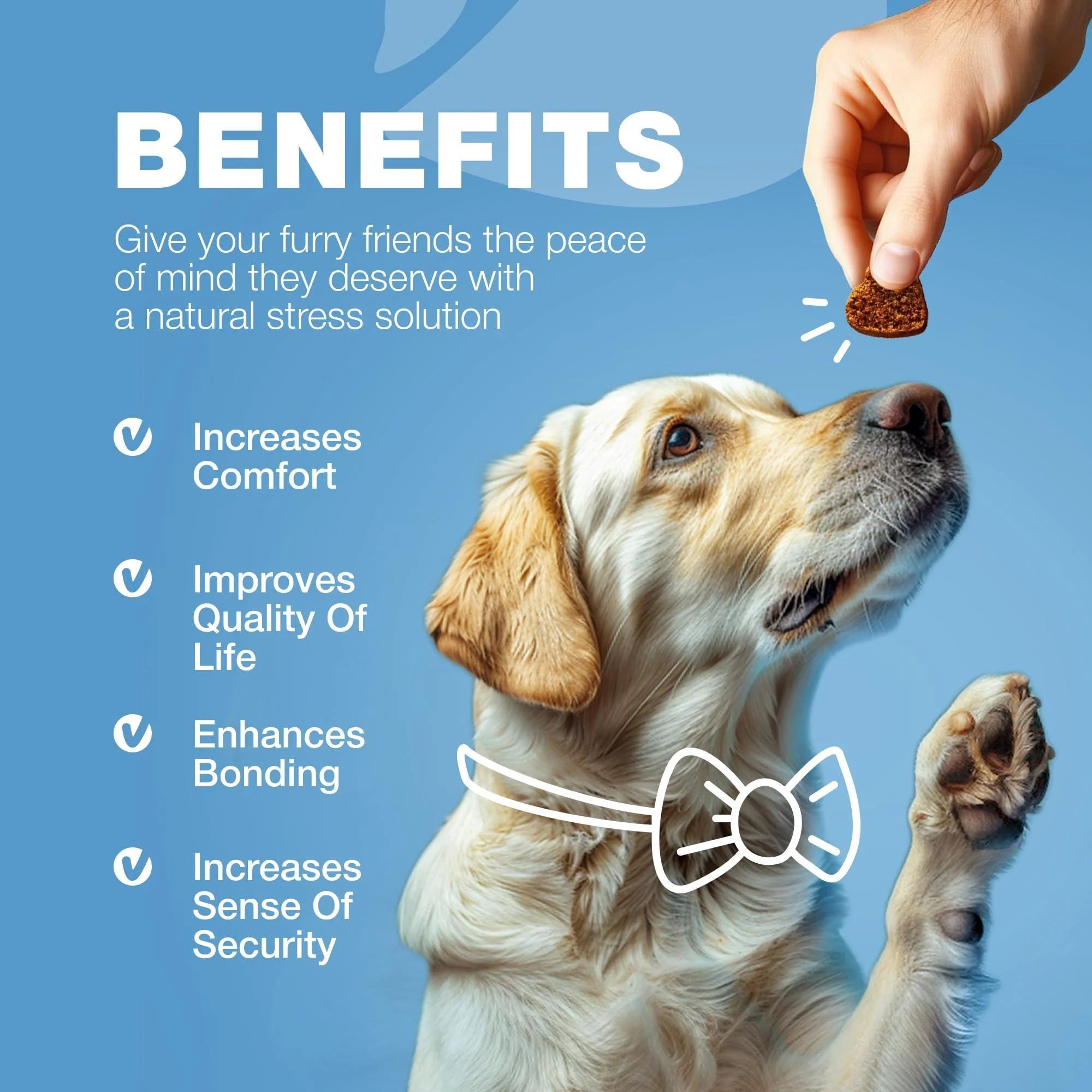Hemp Calming Chews for Dogs Anxiety Relief for Dogs with L Theanine Chamomile