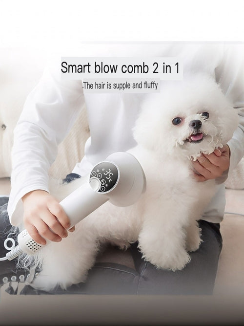 Low Noise Pet Hair Dryer & Comb