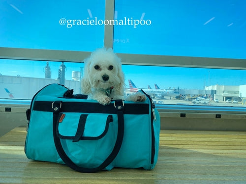 312 Hideaway™ Duffel - Pet Carrier