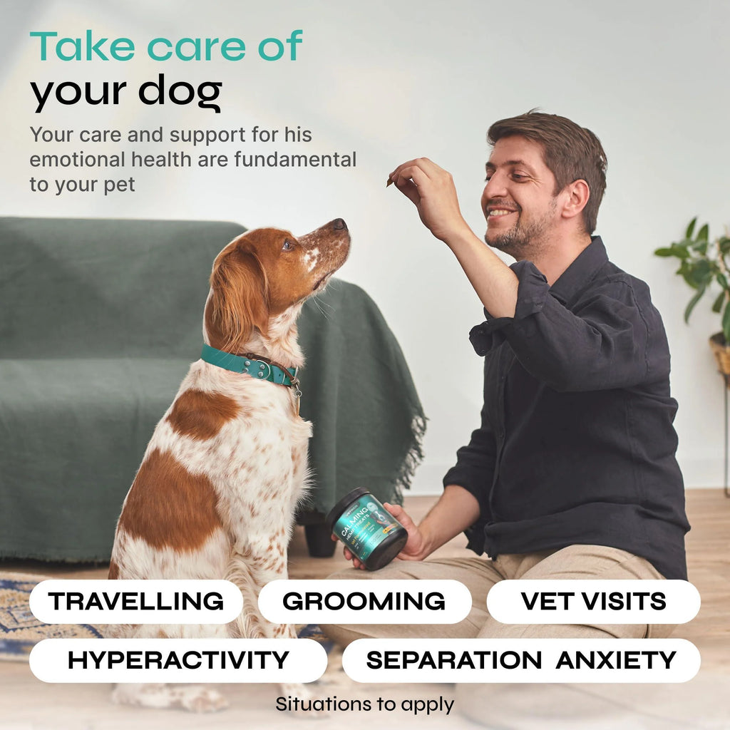 Hemp Calming Chews for Dog Anxiety Relief Calming Treats for Dogs Stress Separation Anxiety Relief Storms Hemp Seed Oil Calming Chews for Dogs Dog Calming Treats for Anxiety Relief