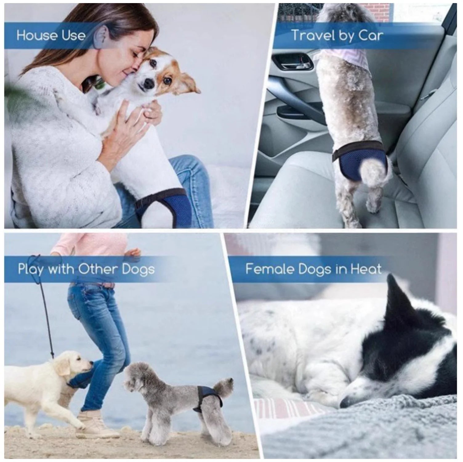 Breathable Female Dog Period Pants - Reusable Sanitary Underwear with Disposable Pads